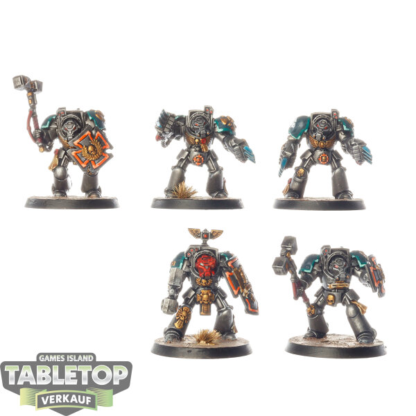 Space Marines - 5x Terminator Assault Squad - bemalt