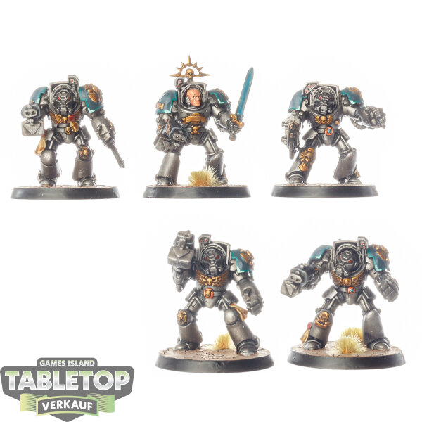 Space Marines - 5x Terminator Squad klassisch - bemalt