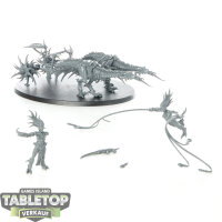 Hedonites of Slaanesh - Tormentbringer / Bladebringer -...