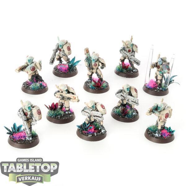 Tau Empire - 10 Fire Warriors Strike Team - bemalt