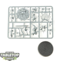 Stormcast Eternals - Gardus Steel Soul - im Gussrahmen