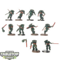 Space Marines - 10x Assault Intercessor Squad - bemalt
