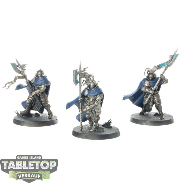 Stormcast Eternals - 3 Praetors - teilweise bemalt