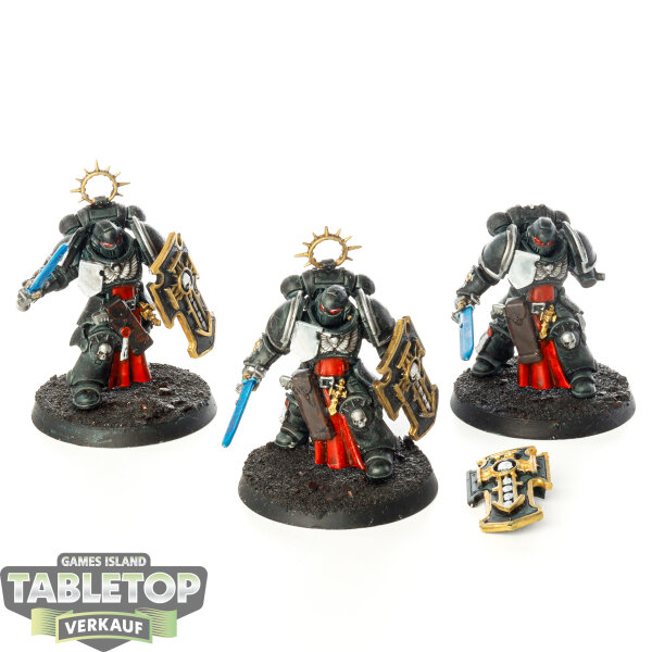 Space Marines - 3x Bladeguard Veteran Squad - bemalt