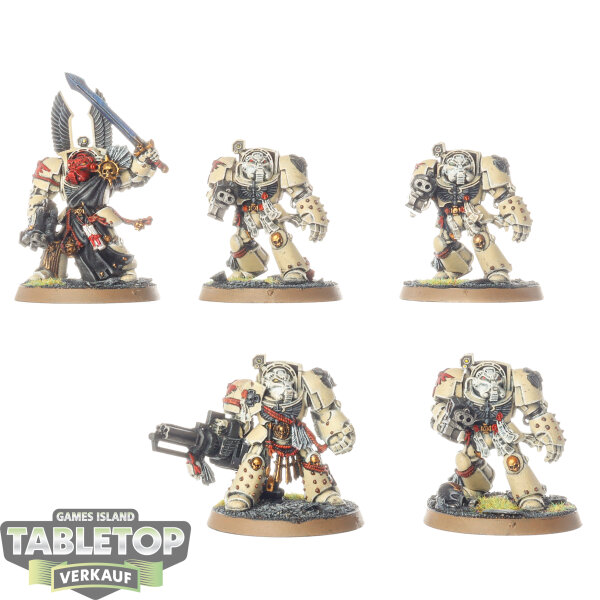 Dark Angels - 5x Deathwing Terminators - klassisch - bemalt