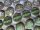 Da Red Button - Plague Guard Tokens - Core Set