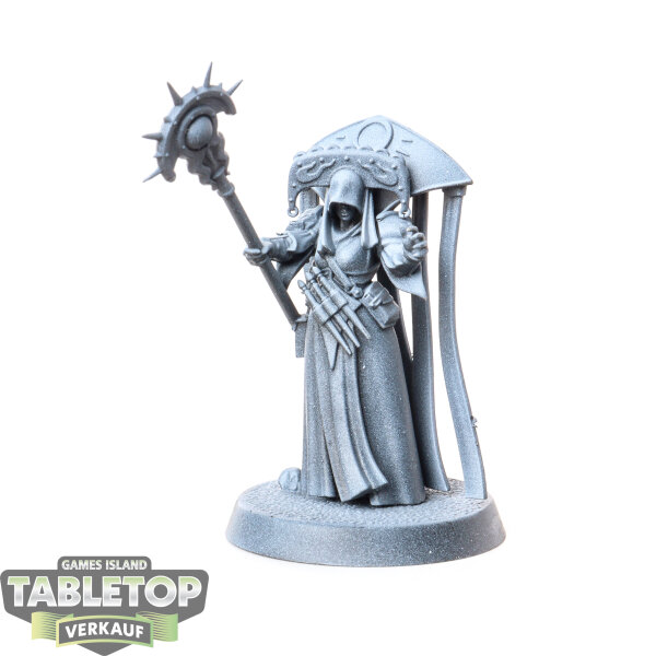 Cities of Sigmar - Cleona Zeitengale - teilweise bemalt