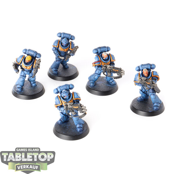 Ultramarines - 5 Intercessor Squad - bemalt