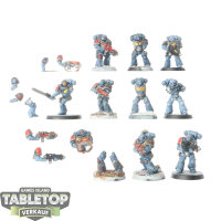 Space Wolves - 10x Intercessor Squad - bemalt