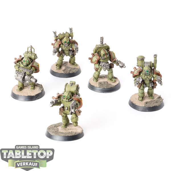 Horus Heresy - 5x Legion MKIV Destroyer Squad - Biohazard - bemalt