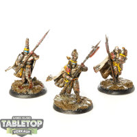 Stormcast Eternals - 3x Praetors - bemalt