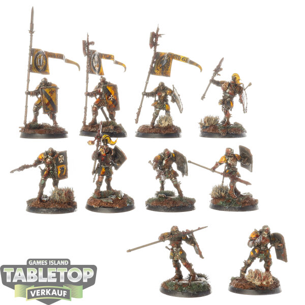 Stormcast Eternals - 10x Vindictors - bemalt
