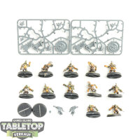 Blood Bowl - 12 Goblin Team: Scarcrag Snivellers - bemalt