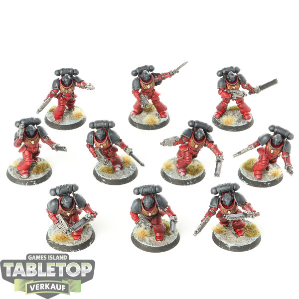 Space Marines - 10 Assault Intercessor Squad - bemalt