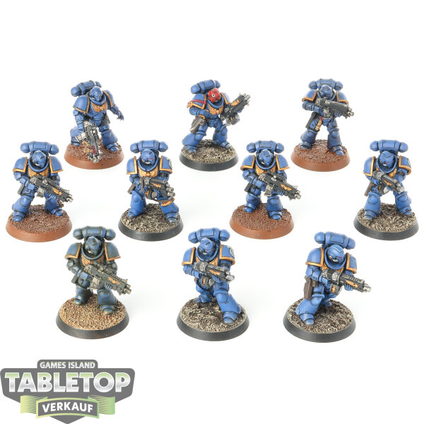 Space Marines - 10 Intercessor Squad - bemalt