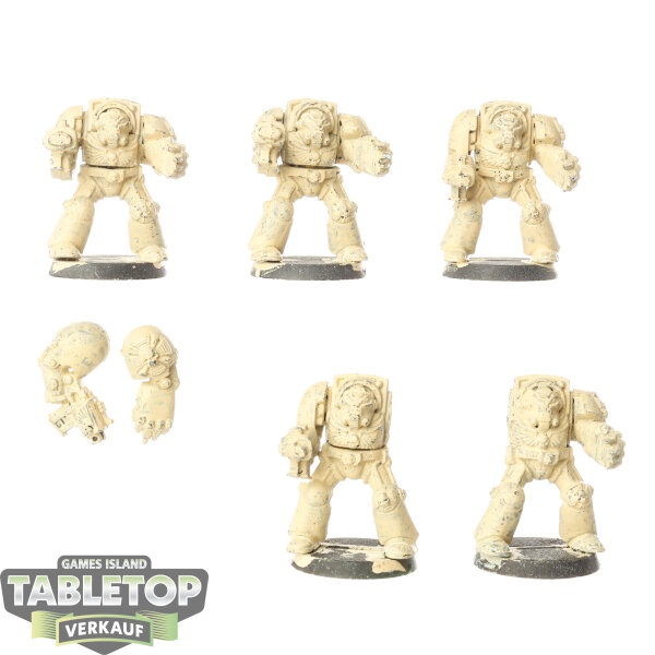 Space Marines - 5x Terminators - klassisch - grundiert