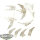 Lizardmen - 4x Terradon Riders - unbemalt