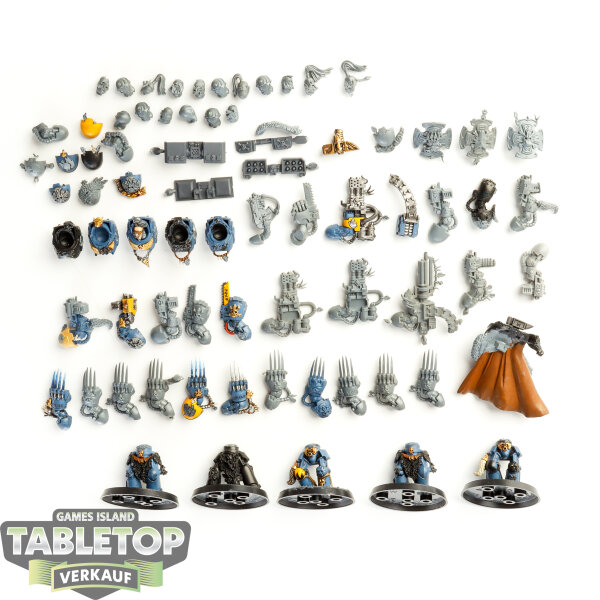 Space Wolves - 5x Wolf Guard Terminators - klassisch - teilweise gebaut