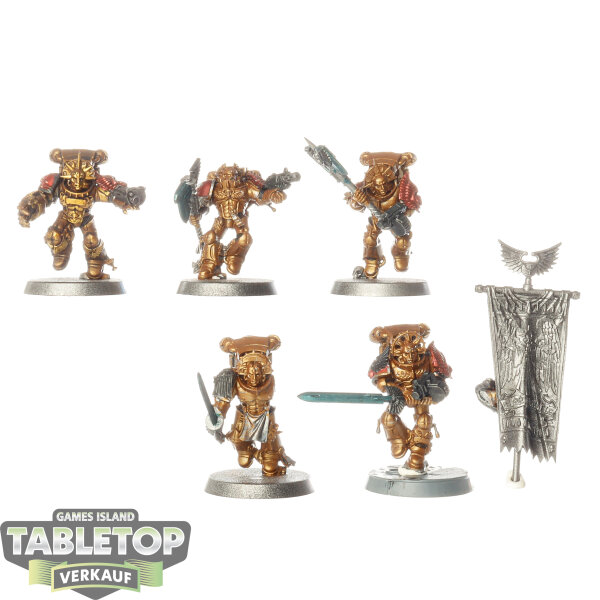 Blood Angels - 5x Sanguinary Guard klassisch - teilweise bemalt