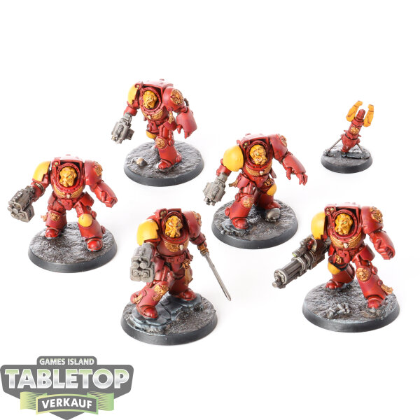 Space Marines - 5 Terminator Squad - bemalt