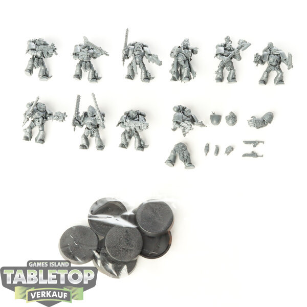 Space Wolves - 10x Grey Hunters klassisch - unbemalt