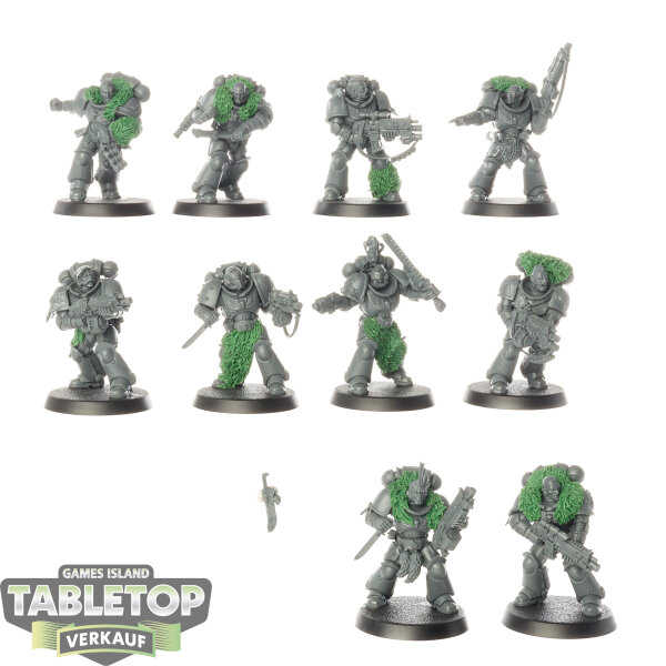 Space Wolves - 10x Intercessor Squad - unbemalt
