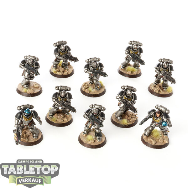 Space Marines - 10 Intercessor Squad - bemalt