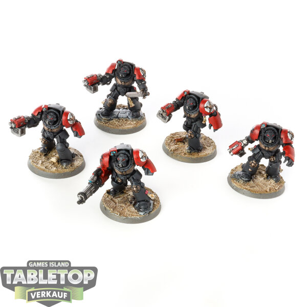 Black Templars - 5 Terminator Squad - bemalt