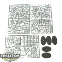 Seraphon - 5 Raptadon Chargers - im Gussrahmen