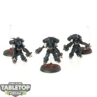 Black Templars - 3x Inceptor Squad - bemalt