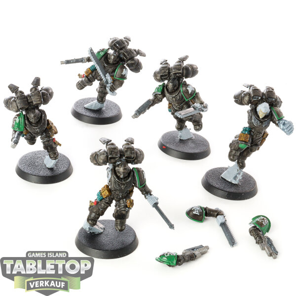 Raven Guard - 5 Assault Intercessors with Jump Packs - bemalt