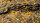 GamersGrass - Tiny Tufts - Golden 1mm