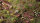 GamersGrass - Tiny Tufts - Green 1mm