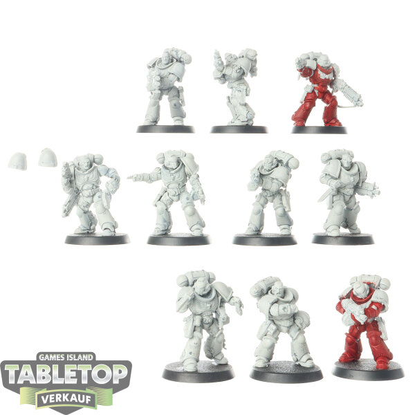 Space Marines - 10 Intercessor Squad - teilweise bemalt