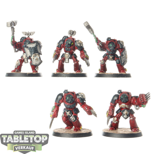 Space Marines - 5 Terminator Assault Squad classic - bemalt