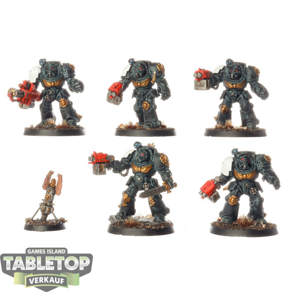 Space Marines - 5 Terminator Squad - bemalt