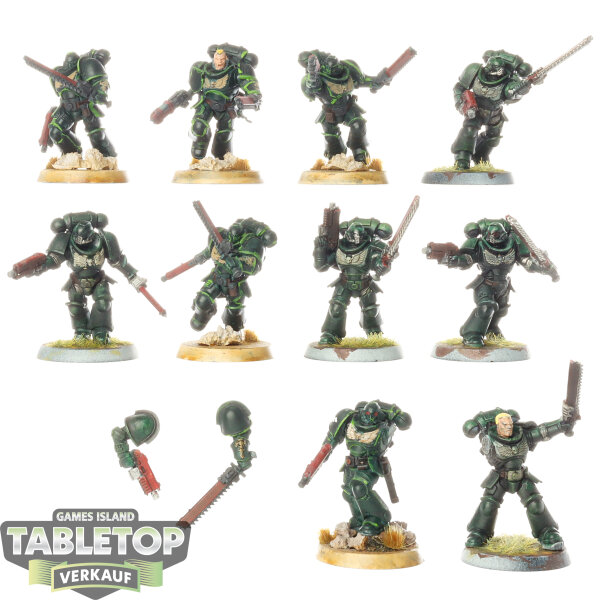 Dark Angels - 10x Assault Intercessor Squad - bemalt
