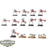 Necrons - 10 Necron Warriors classic - bemalt