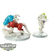 Infinity - 2 x Tohaa: Kerail Preceptors - teilweise bemalt