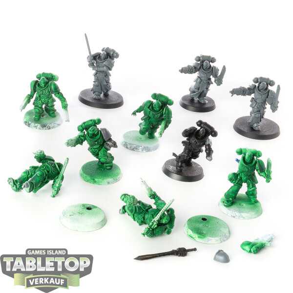 Black Templars - 10 Assault Intercessor Squad - teilweise bemalt
