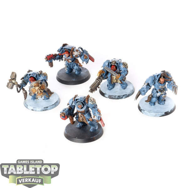Space Wolves - 5 x Wolf Guard Terminators klassisch - bemalt
