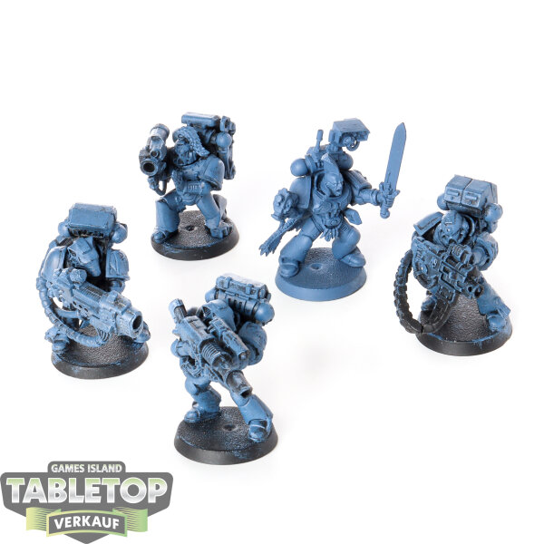 Space Wolves - 5 x Long Fangs - teilweise bemalt