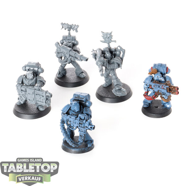 Space Wolves - 5 x Long Fangs - teilweise bemalt