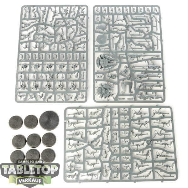 Aeldari - 10 Storm Guardians/Guardian Defenders - im Gussrahmen