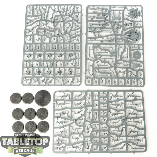 Aeldari - 10 Storm Guardians/Guardian Defenders - im Gussrahmen