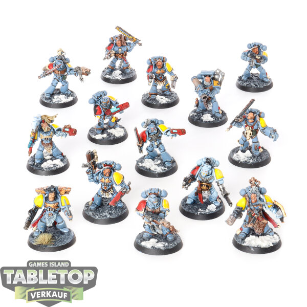 Space Wolves - 14 Grey Hunters - bemalt