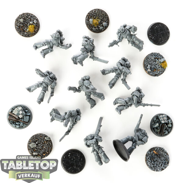 Blood Angels - 10 x Assault Intercessor Squad - unbemalt