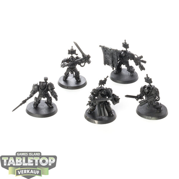 Grey Knights - 5 Grey Knights Paladins - grundiert