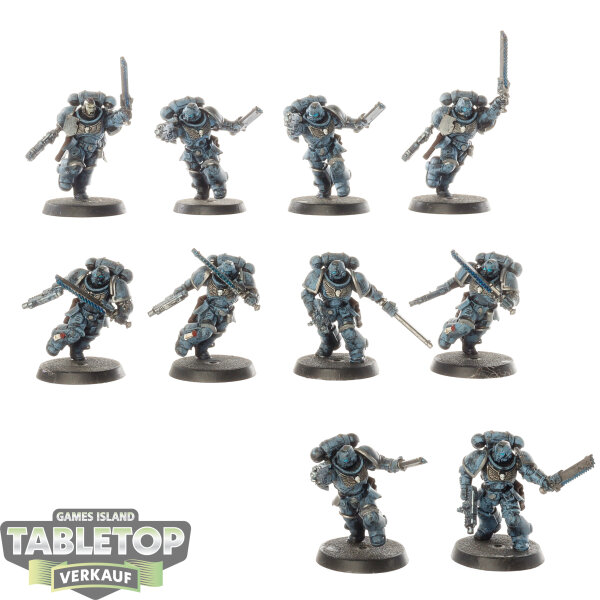 Space Marines - 10 x Assault Intercessor Squad - bemalt