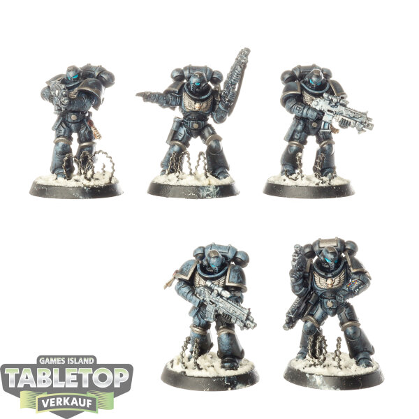 Space Marines - 5 x Intercessor Squad - bemalt